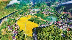 <b>以科技创新引领现代农业发展</b>