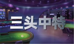 2024年澳门内部传线年澳门内部传实老版本下载