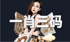 944cc免费材料大全全国