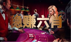 <b>宠物狗材料大全图片</b>