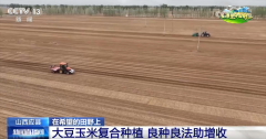 良种、良法、良机护航夏