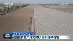 【正在但愿的郊野上】我国粮食出产开局优良 面